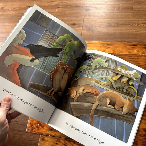 PJ Library Naamah And The Ark At Night Jewish Paperback Book - Picture 7 of 9